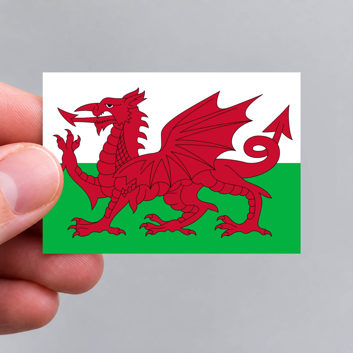 A hand holding a Welsh flag sticker by Gobrecht & Ulrich