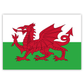 Flag of Wales vinyl sticker with a red dragon on a green and white background