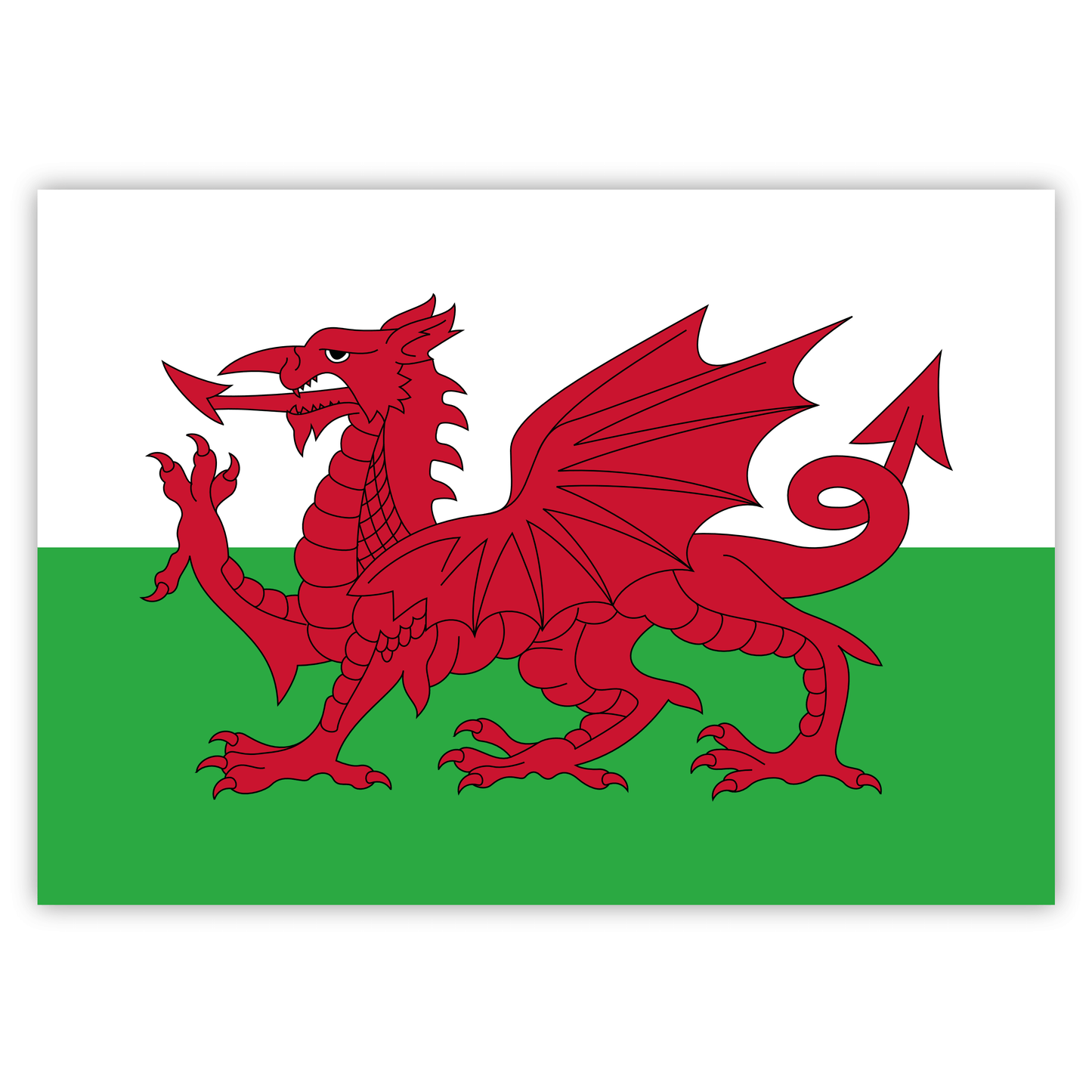 Flag of Wales vinyl sticker with a red dragon on a green and white background